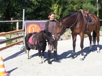 Equitation en Bretagne (BZH)